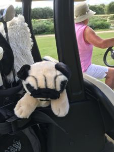 DSG Benalup 2018 Blog