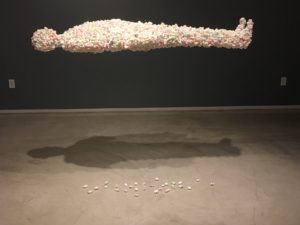 DSG California Blog 6