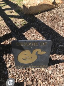 DSG California Blog 8