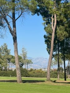 DSG Turkey Golf and Coaching