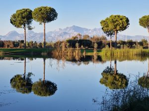 DSG Turkey Golf and Coaching