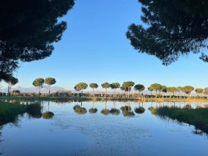 DSG Turkey Golf and Coaching