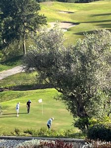 DSG Sam Golf and Coaching Tavira