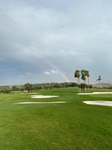 DSG G&C Tavira Barney