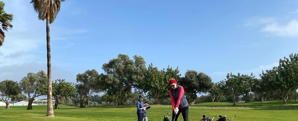 DSG G&C Tavira Barney