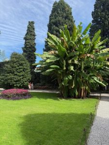 DSG Italian Golf and Culture