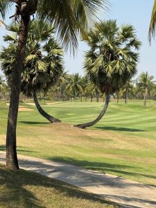 DSG Thailand and Cambodia 2026