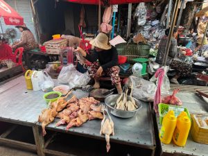 DSG Thailand and Cambodia 2026