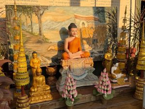 DSG Thailand and Cambodia 2026